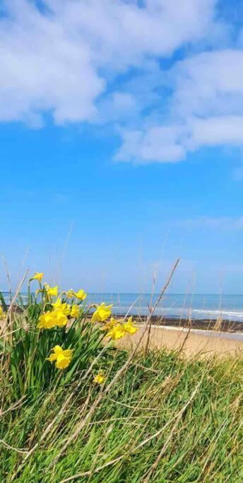 Herne Bay Central - 2 Minutes From Beach Apartment Exteriér fotografie
