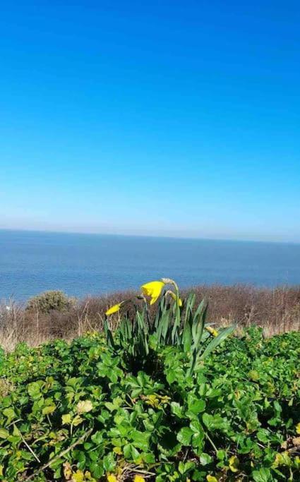 Herne Bay Central - 2 Minutes From Beach Apartment Exteriér fotografie