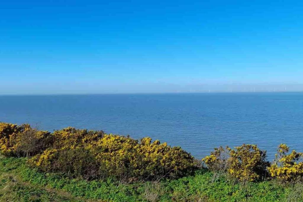 Herne Bay Central - 2 Minutes From Beach Apartment Exteriér fotografie